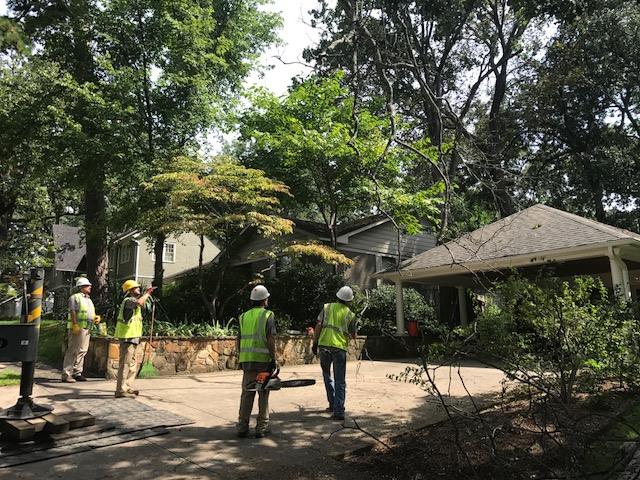 Giraffe Tree Service crew trimming a tree in Little Rock, AR